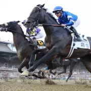 Sovereignty Stuns Breeders' Cup With Sensational Victory, Kentucky Derby Dream Alive