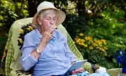 Spain Makes History: Medical Cannabis Legalised Under Strict New Framework