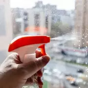 Spiders Fleeing UK Homes: The Hidden Weather Phenomenon Driving Them Indoors