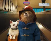 Spitting Image Targets Beloved Paddington Bear in Controversial New Sketch
