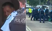 Sydney Bus Horror: Man Arrested After Vicious Stabbing Attack on Complete Stranger