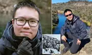 Tasmanian Wilderness Ordeal: British Hiker's Miraculous Survival After Five Days Lost in Mount Field National Park