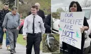 Tasmanian Wildlife Tragedy: Wombat Massacre Sparks Outrage After Animals Found Dead in Ute