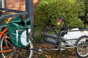 Terminator-Style Black Swan Terrorises Stratford-upon-Avon Locals in Bizarre Urban Wildlife Drama