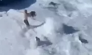 Terrifying Tenerife Tsunami: British Tourists Scream as Monster Wave Wipes Out Seafront
