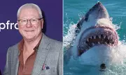 The Block's Scott Cam to Face Shark-Infested Waters in Bizarre New Channel Nine Reality Show