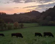 The Clocks Have Changed: Embracing the Winter Darkness in Rural Britain