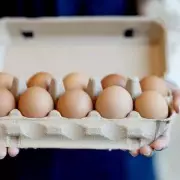 The Fridge Faux Pas: Why Your Eggs Don't Belong in the Refrigerator