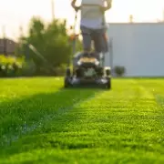 The Gardening Revolution: How One Kitchen Staple Can Transform Your Hydrangeas' Colour