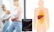 The Hidden Danger Lurking in Your Waistline: How Body Fat Location Dramatically Increases Cancer and Alzheimer's Risk