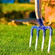 The Ultimate Lawn Care Guide: Banish Moss and Achieve Perfect Green Grass