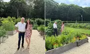 The Ultimate Status Symbol for the Super-Rich: 'Longevity Gardens' Designed to Extend Your Lifespan