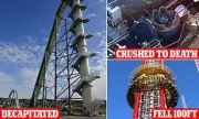 Theme Park Terror: Teen's Harrowing 25-Foot Plunge from Stardust Racers Rollercoaster Sparks Safety Investigation