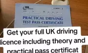 TikTok's Dangerous Driving Licence Scandal: Fake UK Permits Sold Online Without Tests