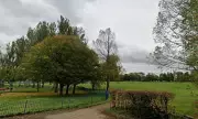 Toddler Hospitalised After Vicious Dog Attack in London Park as Owner Flees Scene
