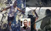 Tragedy in Victoria: Body of Missing Bushwalker Dezi Freeman Found in Alpine National Park