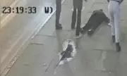 Tragic Ambush: Elderly Man Killed by Drunken Teen Girls Who Filmed Attack in UK Park