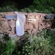 Tragic Bee Attack Claims Father and Daughter's Lives in Portuguese Holiday Horror