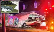 Tragic Hit-and-Run Claims Mother's Life at Children's Birthday Party in Westminster
