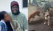 Tragic Medical Mishap After Dog Attack Claims Miami Man's Life