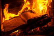 Trump's Book Ban Crusade: How American Libraries Face Unprecedented Censorship Pressure
