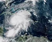 Trump's Climate Crisis Denial: A Dangerous Path for Global Environmental Policy