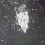 Trump's Fiery Rally Stunt: Watch as He Pulverises Drug Cartel Claims in Dramatic Display