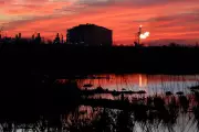 Trump's Gulf Coast Gambit: Former President's Controversial Energy Push Targets Louisiana