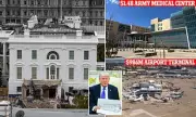 Trump's White House Ballroom Renovation Sparks Controversy: Budget Questions and Contractor's Troubled Past Revealed