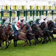 Tuesday's Racing Gold: Your Ultimate Guide to Four Unmissable Meetings