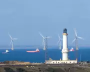 UK Government Plans Nature Rules Exemption for Major Offshore Wind Projects