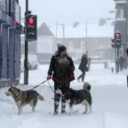 UK Snow Chaos: Heavy Blanket to Disrupt Travel as Met Office Issues Fresh Warnings
