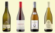 Uncork the Perfect Halloween: Your Expert Guide to White Wines for Pumpkin Pairing