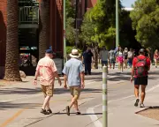 University of Arizona Defies Trump's 'Patriotic Education' Compact in Bold Stand