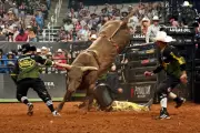 US Border Patrol Faces Backlash Over Controversial 'Rodeo' Recruitment Video