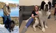Veterinary Bills Under Scrutiny: CMA Proposes Prescription Price Cap to Rescue Pet Owners from Soaring Costs