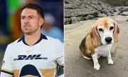 Wales Captain Aaron Ramsey's Desperate Plea After Family Dog Goes Missing During Mexico Training Camp