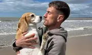 Wales Star Aaron Ramsey's Desperate Plea After Beloved Dog Halo Vanishes in Mexico