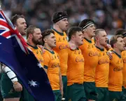 Wallabies Face Critical Crossroads: Final Rugby Championship Test Looms as Last Stand Before Turmoil