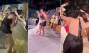 Wedding Bouquet Toss Turns Into Violent Brawl as Guests Scramble for Flowers