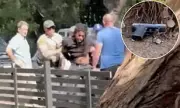 Wrestler Fights Off Armed Robbers in West Hollywood Street Attack - Shocking Footage Emerges