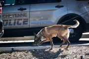 Wyoming Senate Candidate Arrested in Cheyenne After Alleged Police Assault