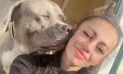 XL Bully Attack Horror: Owner Who Called Breed 'Friendly' Faces Court After Savage Mauling