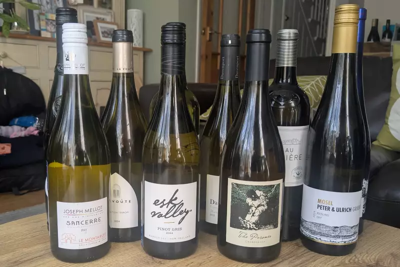 12 Best White Wines for Summer Sipping in 2024