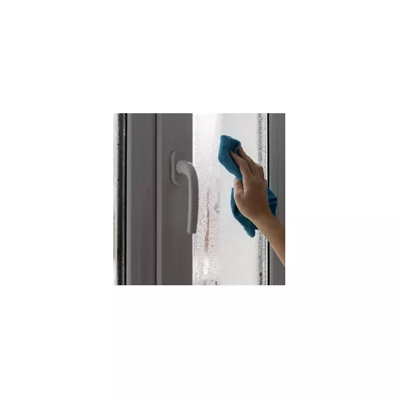 2-Ingredient Window Mix Banishes Condensation for Good