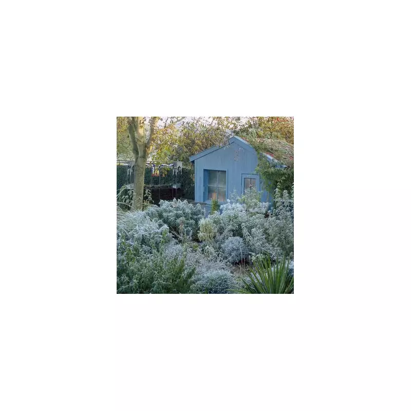 3 Items to Remove From Your Shed Before Winter Hits