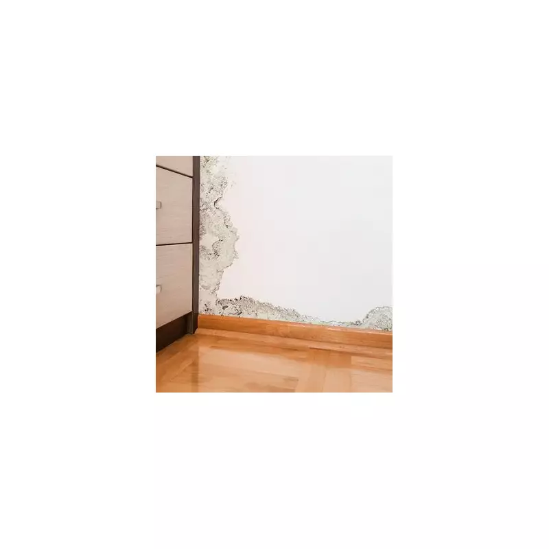 5-Minute Mould Fix: Expert's 75% Moisture Removal Tip