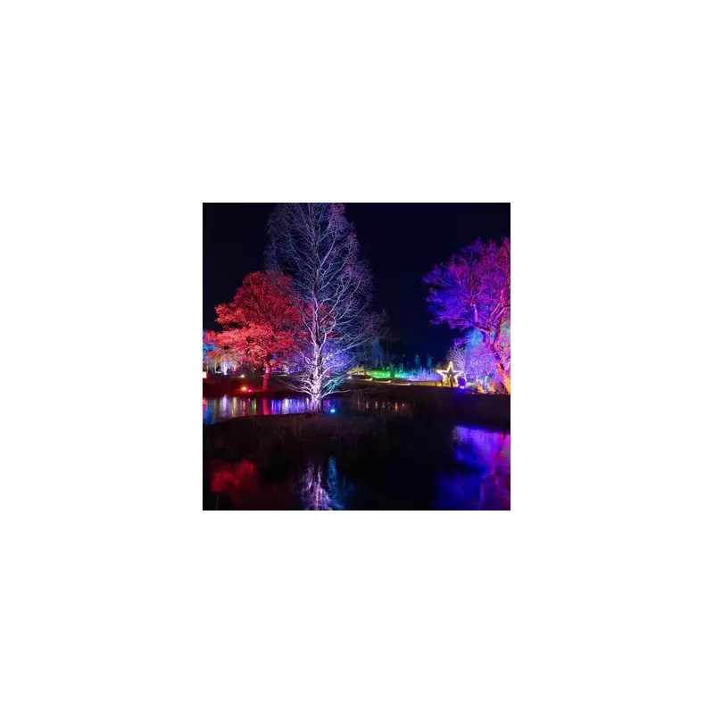 5 Stunning RHS Gardens to Illuminate UK Festive Season with Light Trails