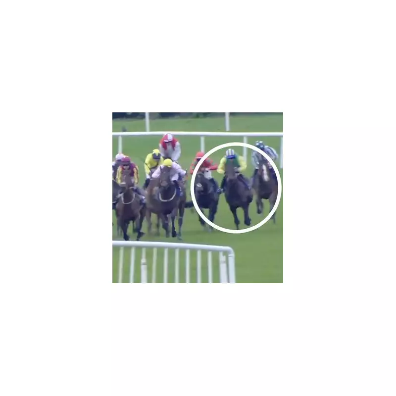 66-1 Shot Young Rebel Lands Huge Gamble With Astonishing Fairyhouse Win