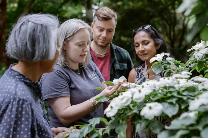 8 Unique Gardening Courses for Green-Fingered Gifts in 2026